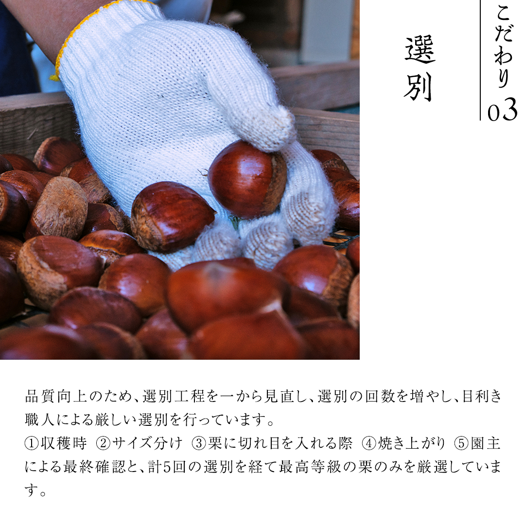 庄七農園 厳選『 最高等級 』氷蔵熟成 焼き和栗 500g 10月発