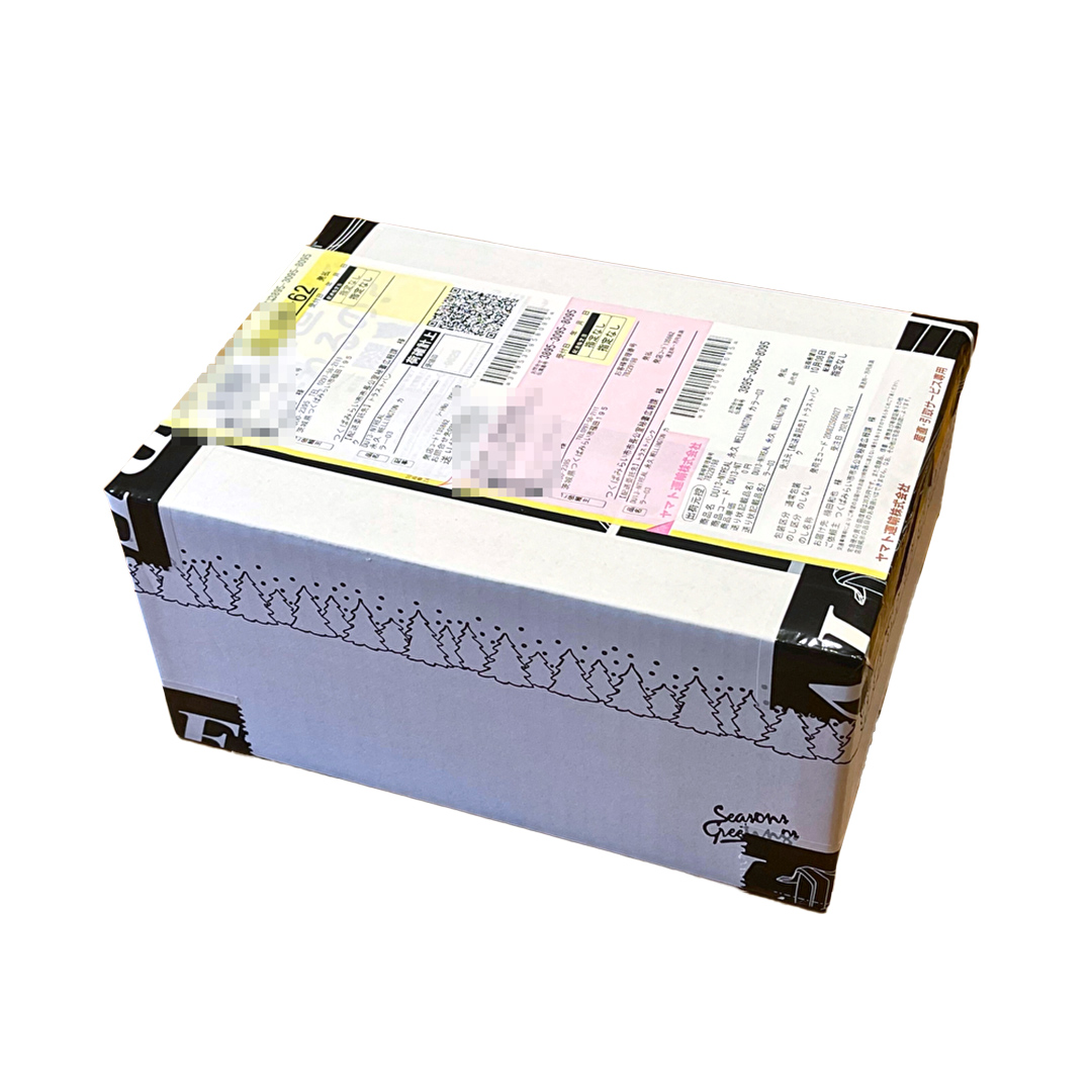 【 リアル メガネ タートル 】REAL 温故知新 参拾壱 カラー06 