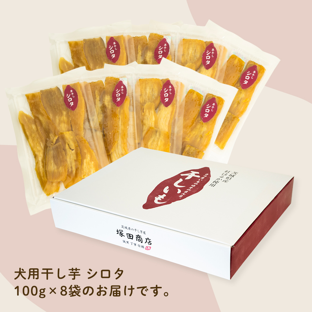 犬のおやつ 国産 干し芋 シロタ 800g (100g × 8袋) 送料無料 保