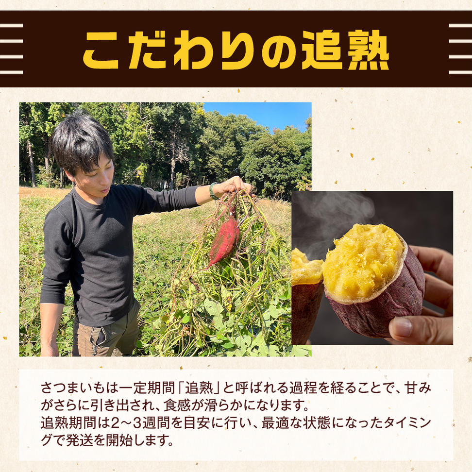 茨城県産 紅はるか 10kg 土付き 無選別 熟成 さつまいも 生芋