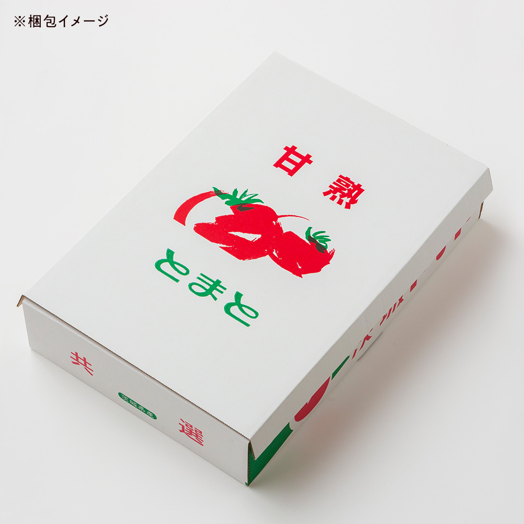 【 2026年 収穫分 先行予約 】 -太陽の味- 渋谷トマト 大玉ト