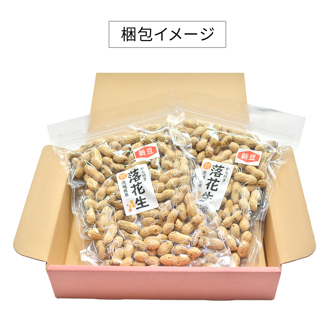 から付き落花生 500g （250g×2袋） 煎りざや落花生 おつまみ 