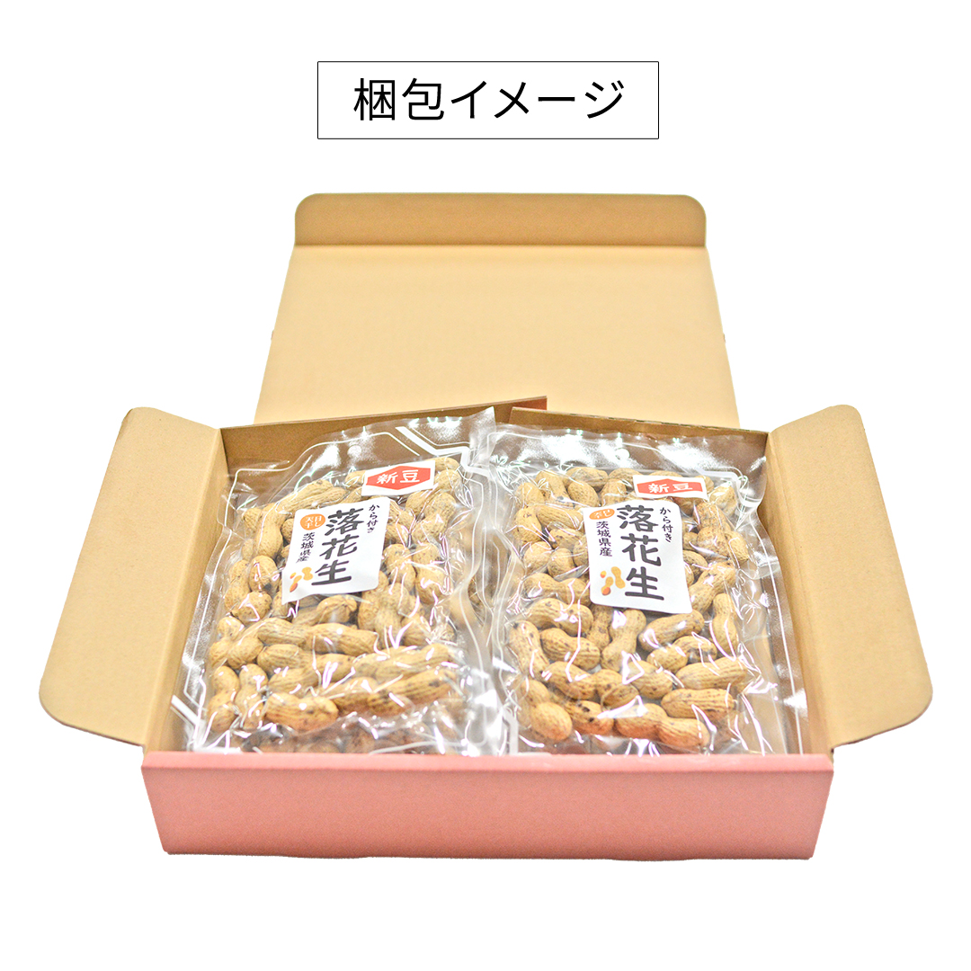 から付き落花生 600g （100g×6袋） 煎りざや落花生 おつまみ 