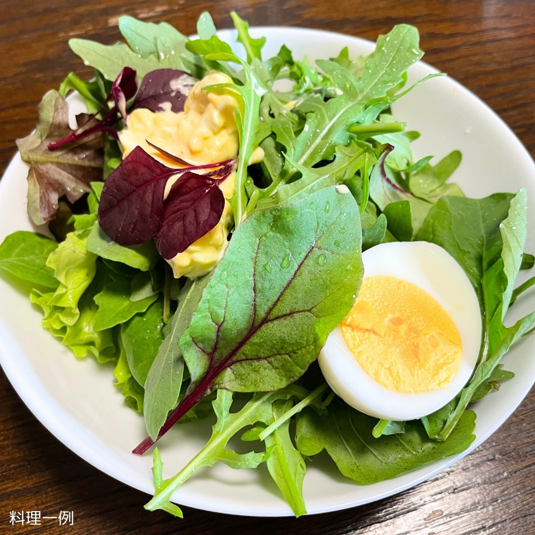 【 定期便 】3か月連続でお届け！ 黒澤農園 の ベビーリー