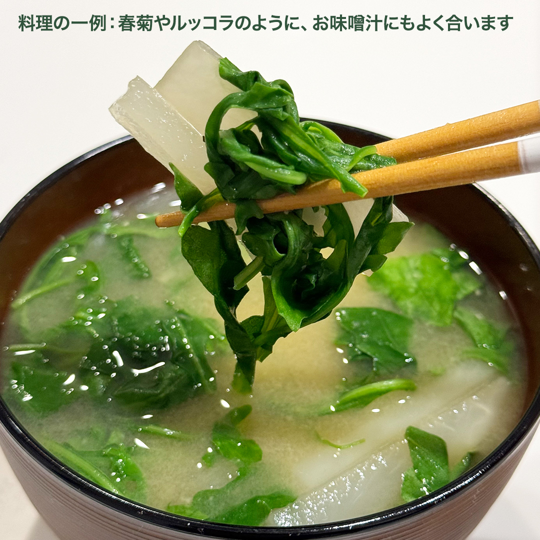 セルバチカ (ワイルドルッコラ) 100g と ベビーリーフ (80g × 2