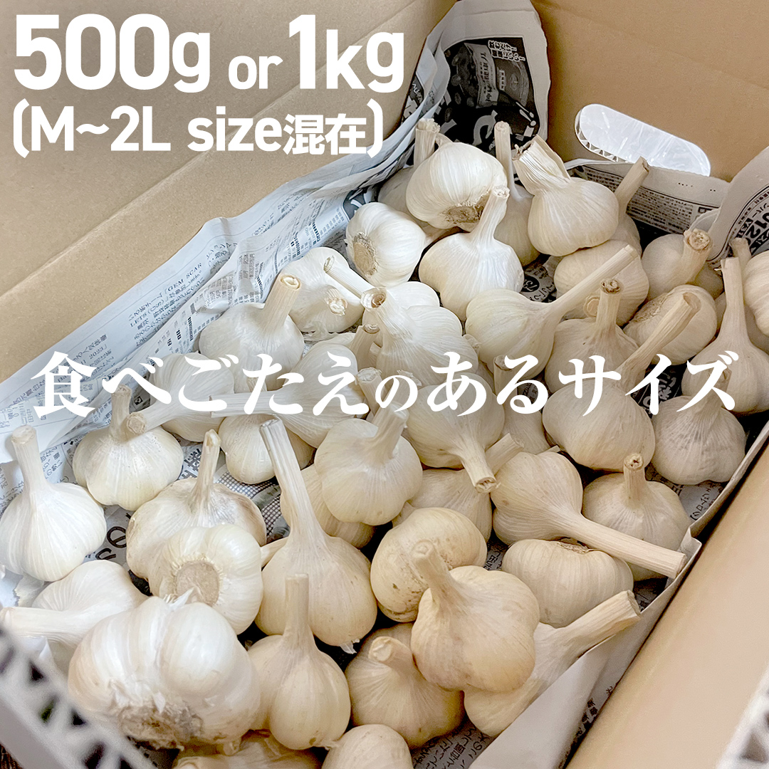 超芳醇 つくばみらいの土が育んだ 最上級ニンニク 500g つく
