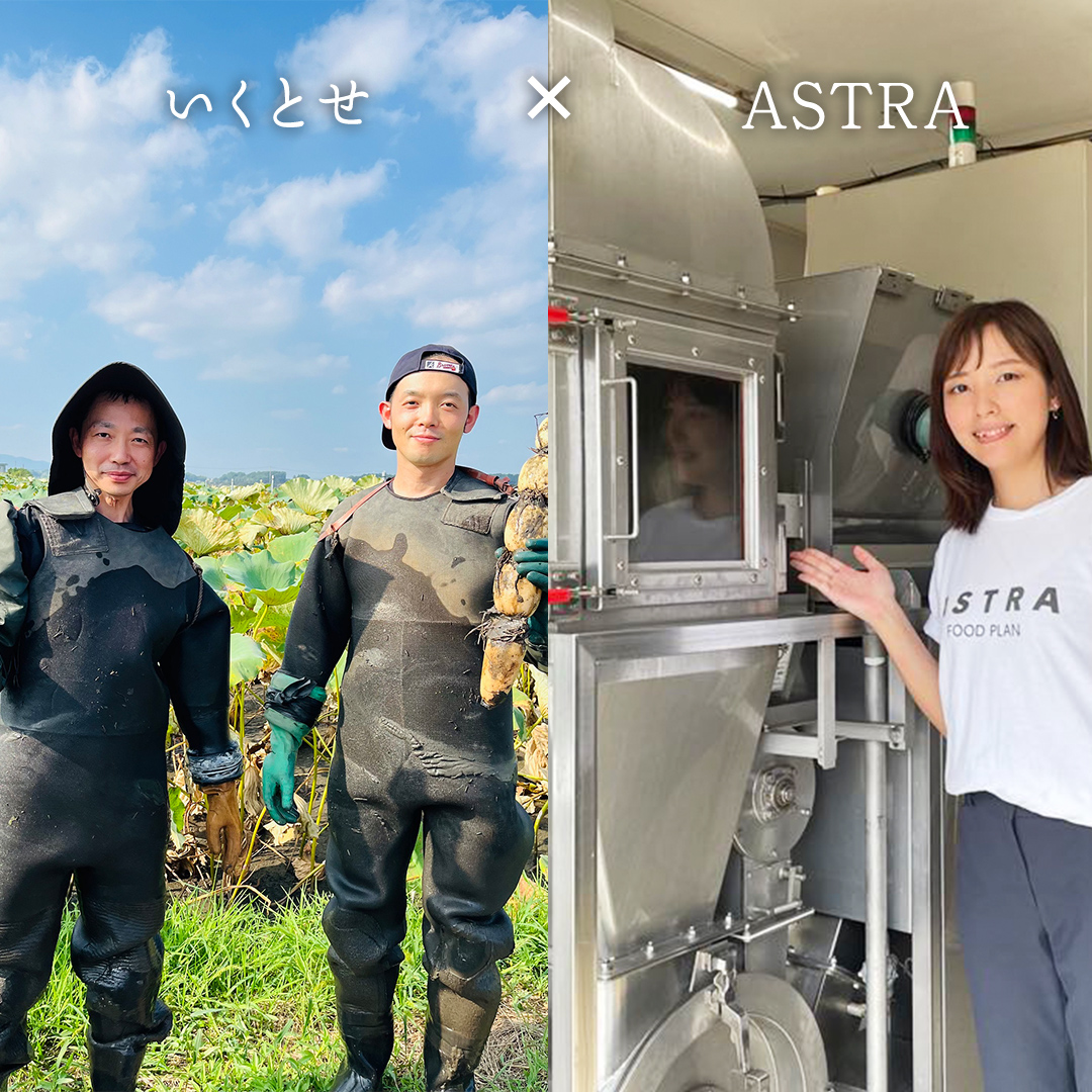 職人が作る タマネギ香る！ジャーマンミートローフと無塩