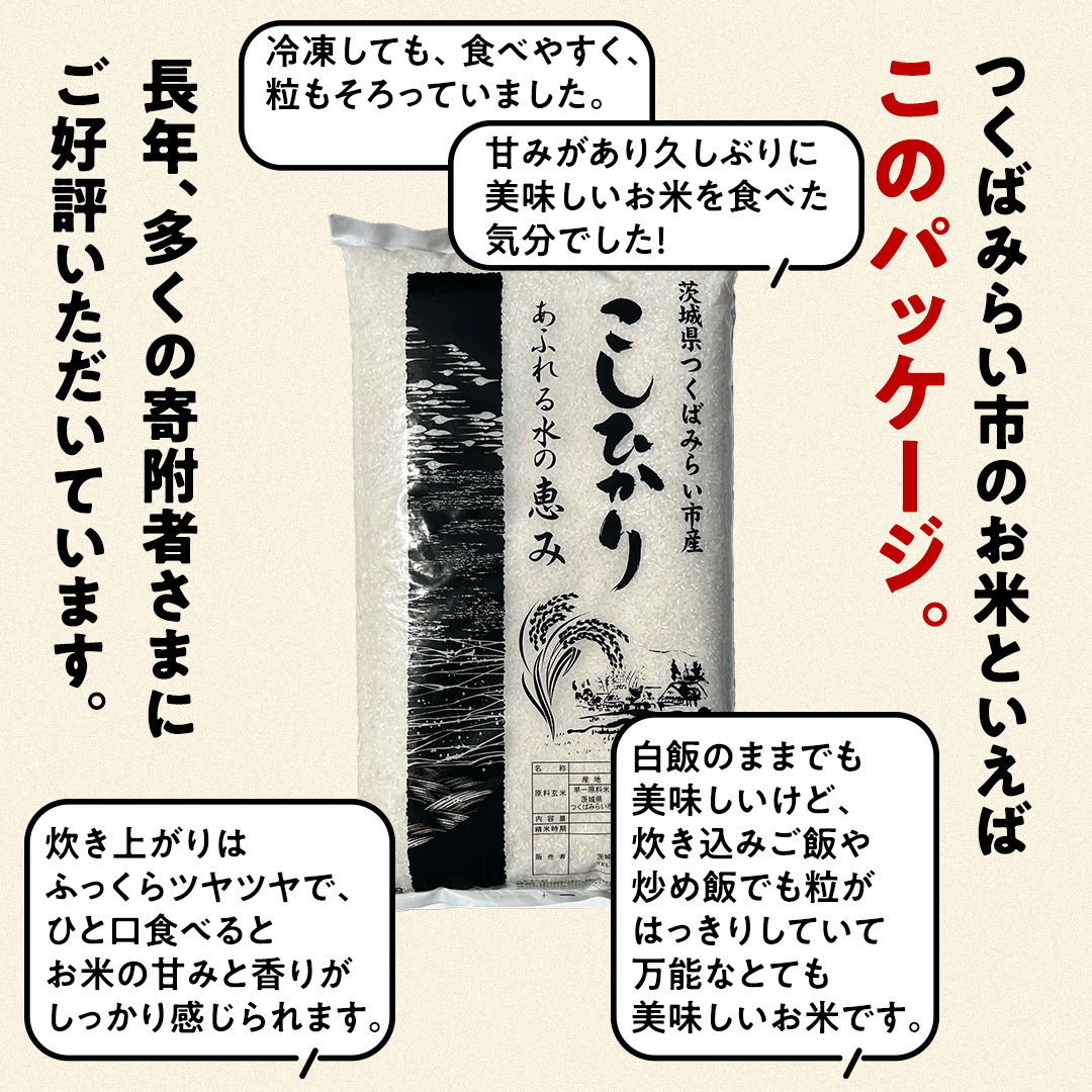 ＼ 新米先行予約 ／ コシヒカリ 10kg 令和7年産精米 【 数量