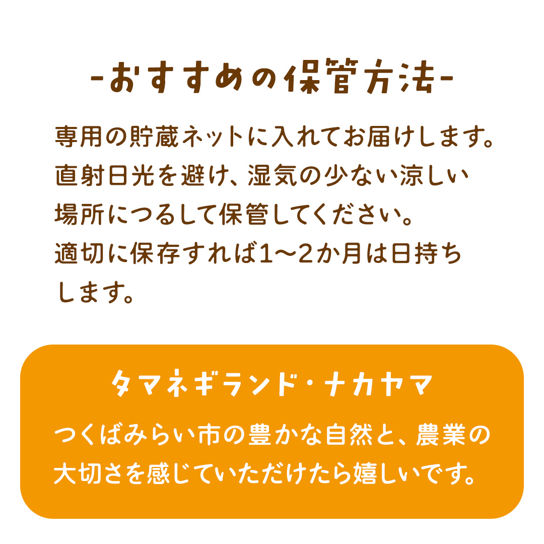 【先行予約】つくばみらい市産たまねぎ 5kg （七宝甘70）保