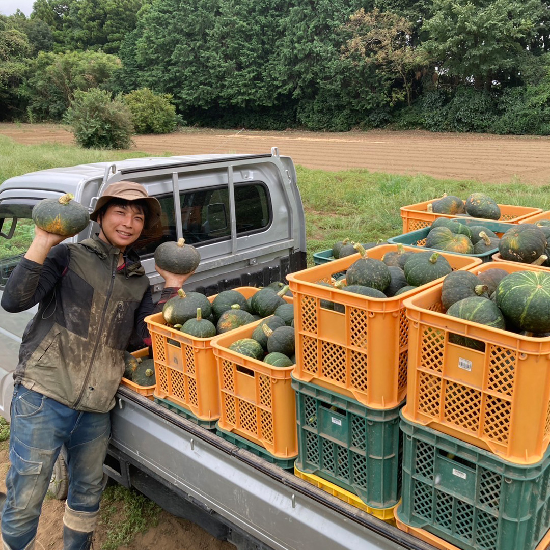 【 訳アリ 】完熟かぼちゃ ブラックのジョー 5kg（3～4玉） 