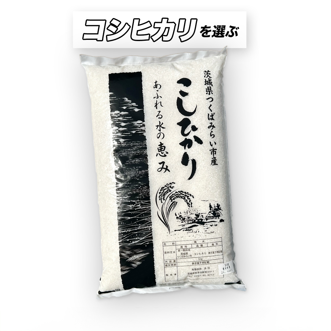 【 最短2日 スピード発送！】 コシヒカリ 5kg 令和7年産精米 