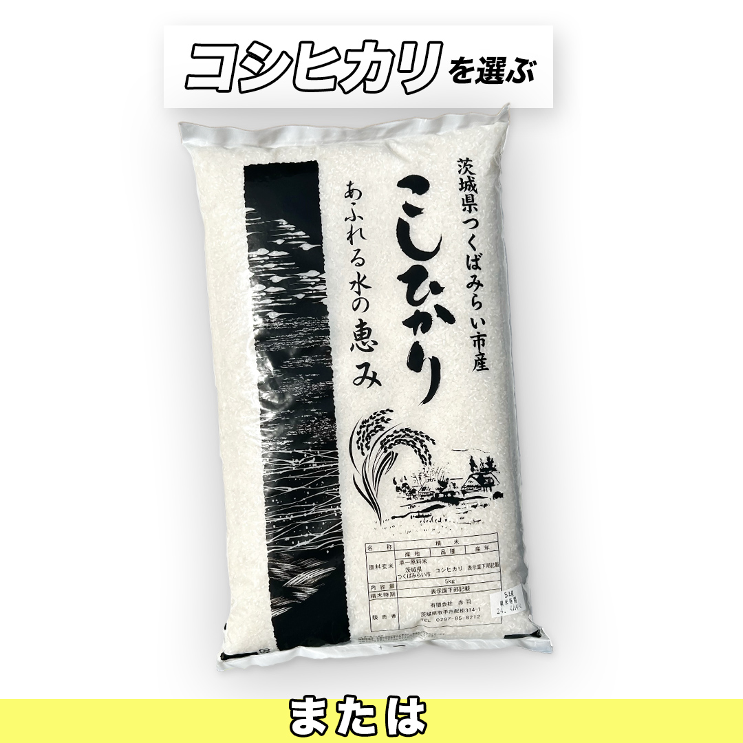 【12月下期出荷】 コシヒカリ 20kg 令和7年産精米 【 数量限