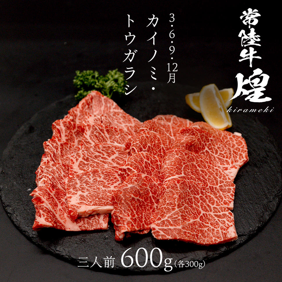 【定期便】＜全3回＞ 【 常陸牛 煌 】 三味食べつくしセッ