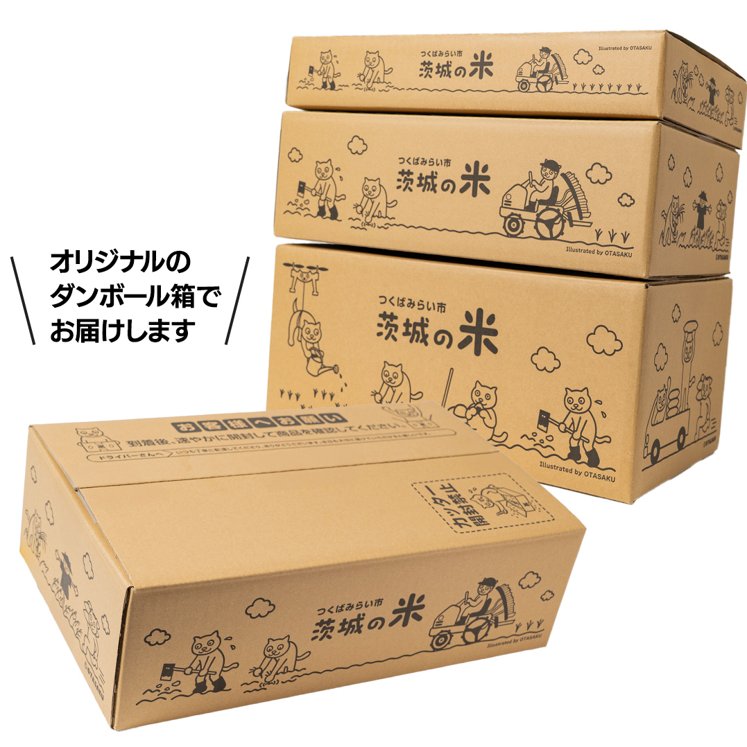 【5月下期出荷】 コシヒカリ 10kg 令和7年産精米 【 数量限定