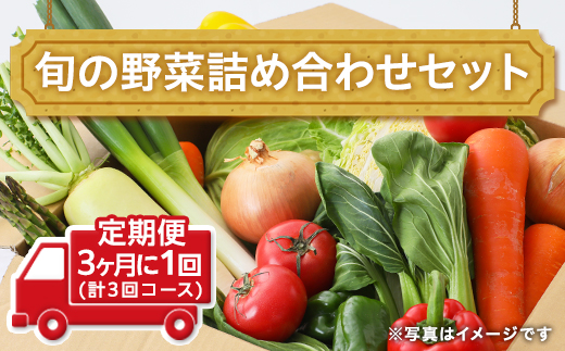 田舎の頑固おやじ厳選！【定期便】旬の野菜詰め合わせセ