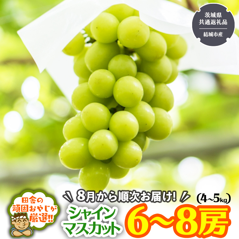 田舎の頑固おやじが厳選！シャインマスカットはこれだっ