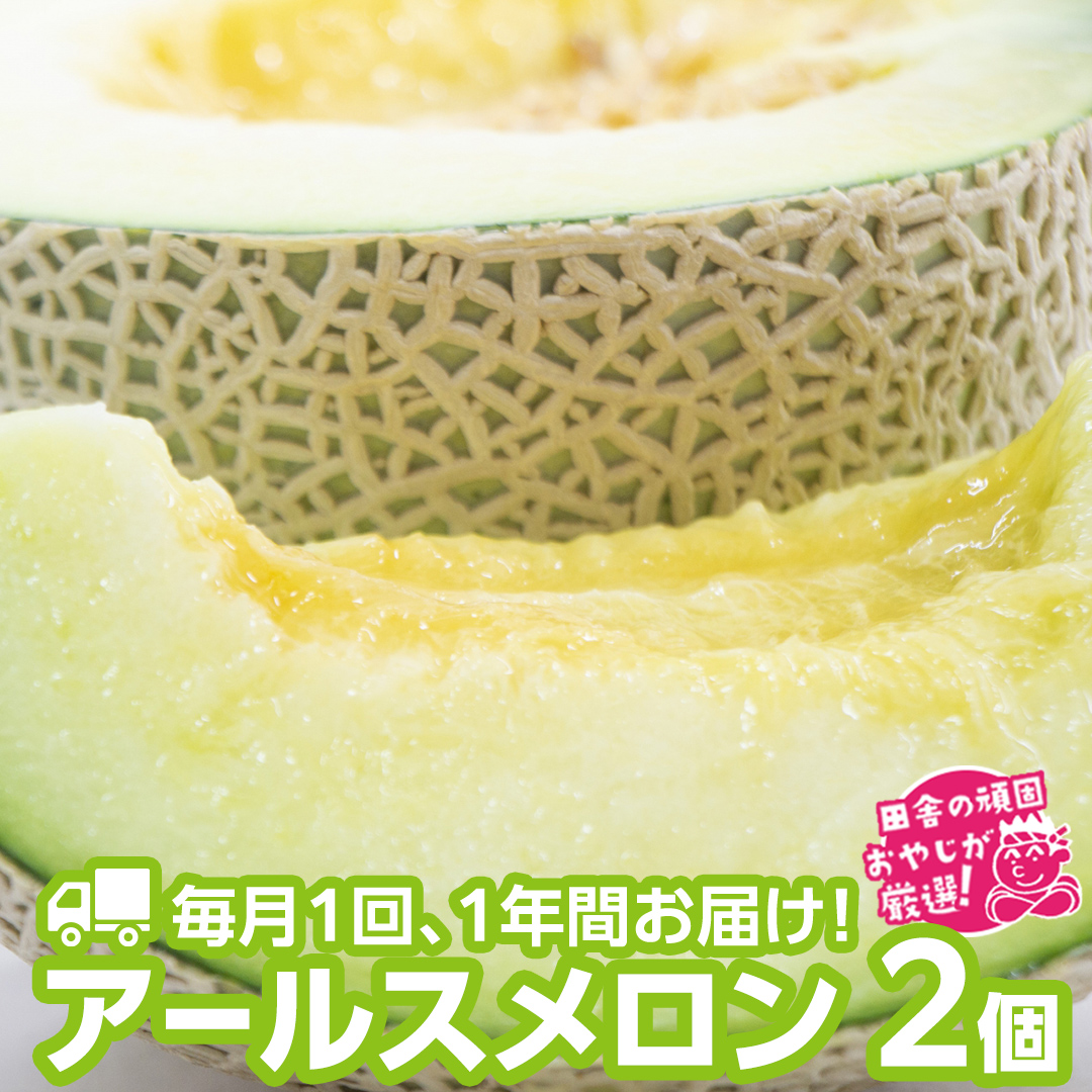 【定期便】 アールスメロン 食べてみセット 2個入り 毎月1