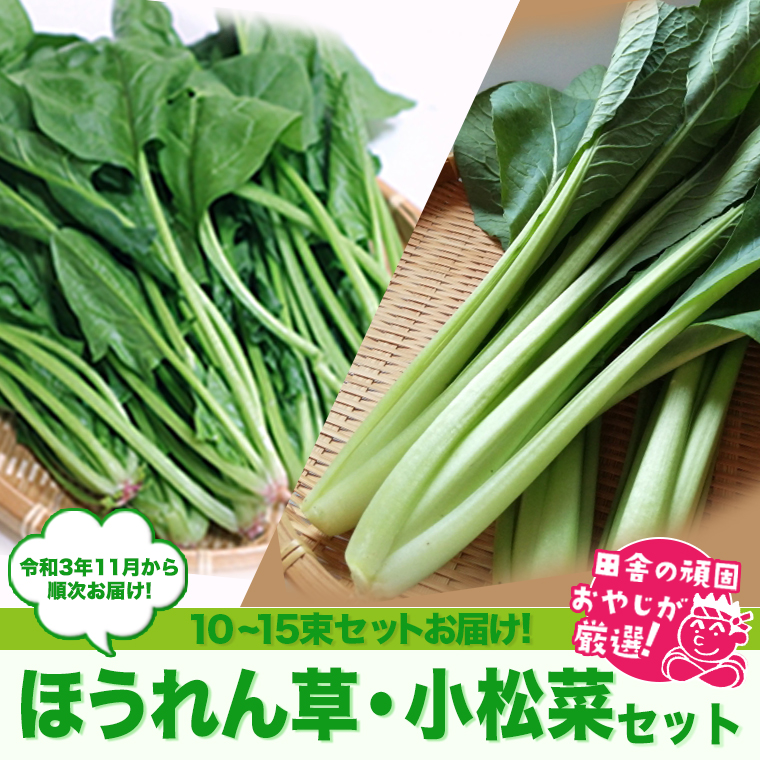 田舎の頑固おやじが厳選！たっぷりほうれん草・小松菜セ