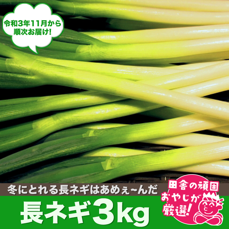 田舎の頑固おやじが厳選！たっぷり長ネギ3kg【令和3年11月
