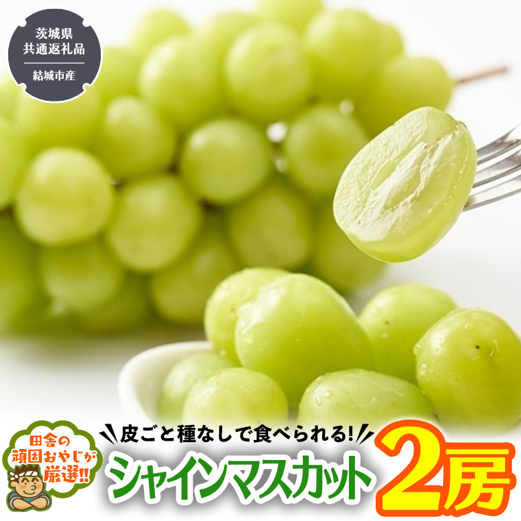 田舎の頑固おやじが厳選！シャインマスカット2房【2025年8