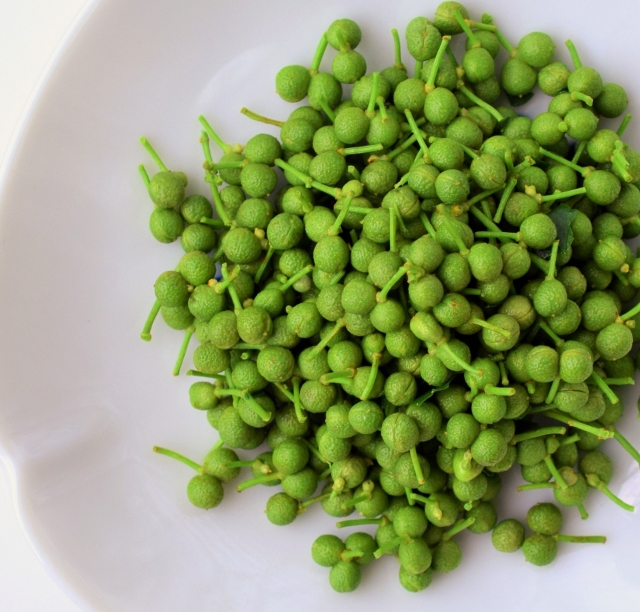 田舎の頑固おやじが厳選！実さんしょう500g【申込期日：令