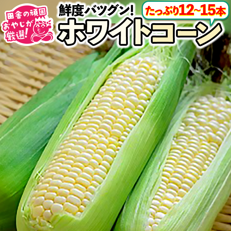 田舎の頑固おやじが厳選！もろこしはこれだっぺセット！