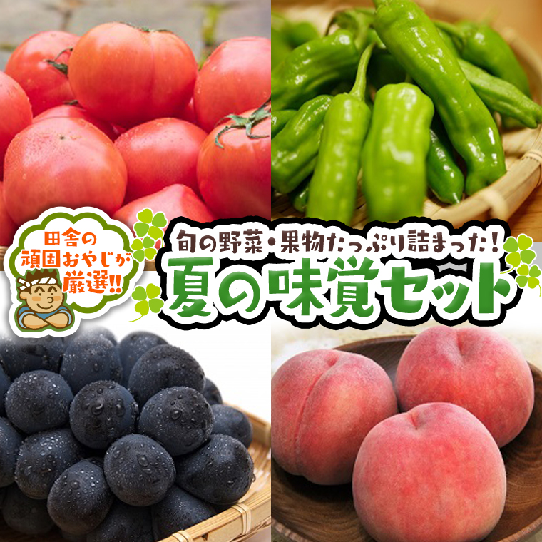 田舎の頑固おやじが厳選！夏の味覚（野菜・果物）厳選セ
