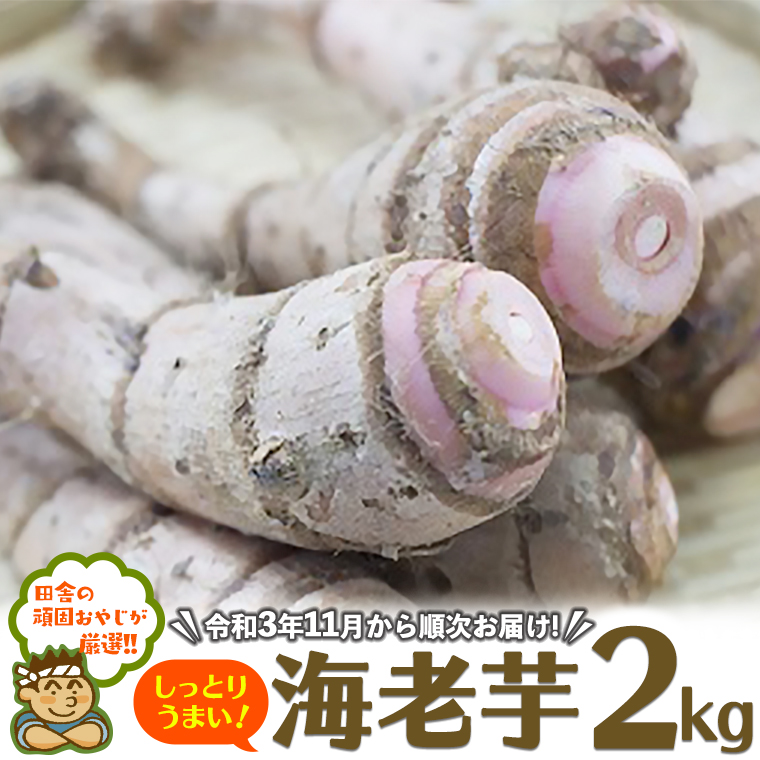 田舎の頑固おやじが厳選！しっとりうまい海老芋（里芋）2k