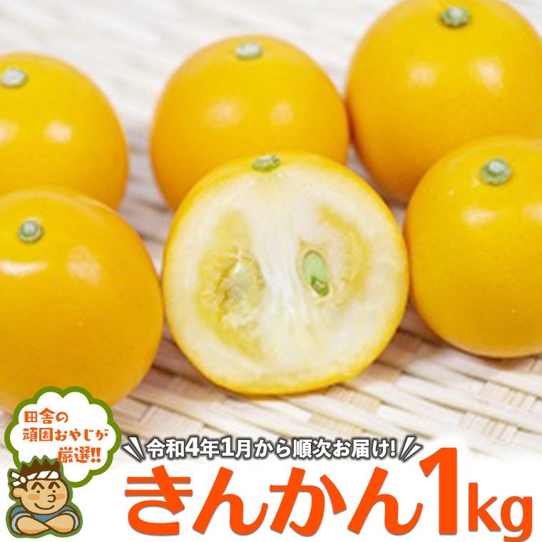 田舎の頑固おやじが厳選！きんかん1kg【令和4年1月から順次