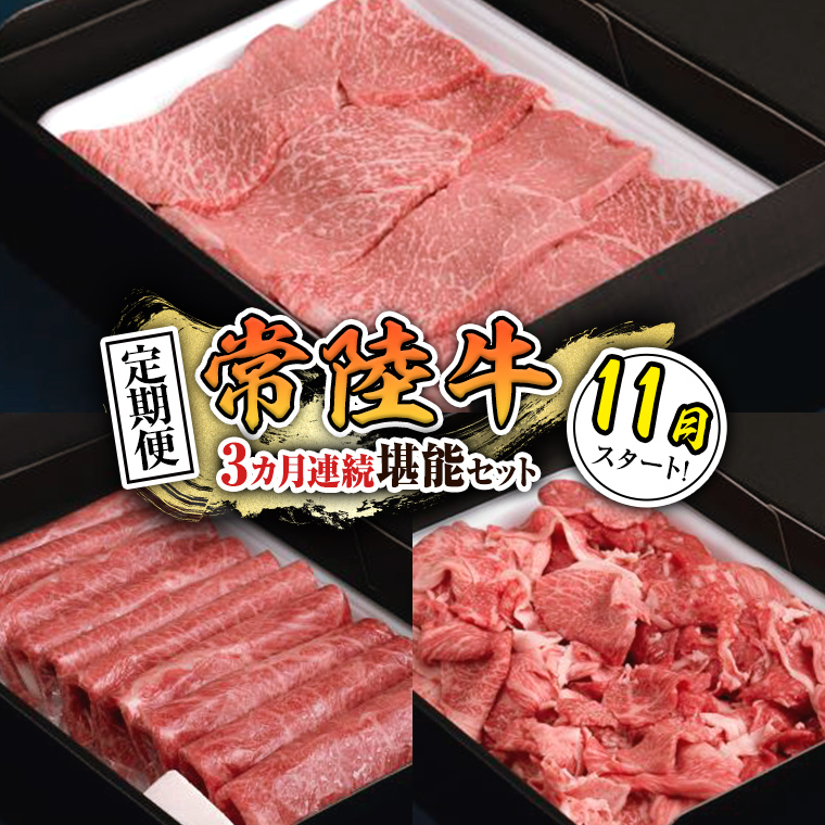 【 定期便 】【 令和7年11月スタート 】【 全3回 】『 常陸牛