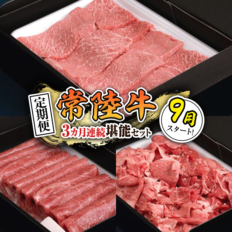 【 定期便 】【 令和7年9月スタート 】【 全3回 】『 常陸牛 