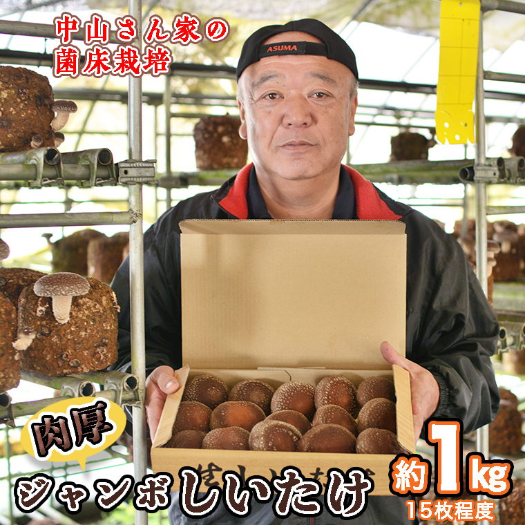 中山さん家の肉厚ジャンボしいたけ約1kg（15枚程度）【菌床