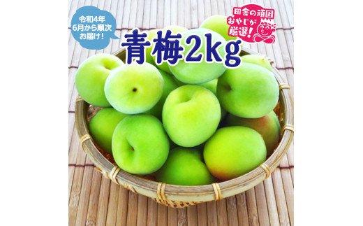 青梅2kg【令和4年6月から順次発送】田舎の頑固おやじが厳選