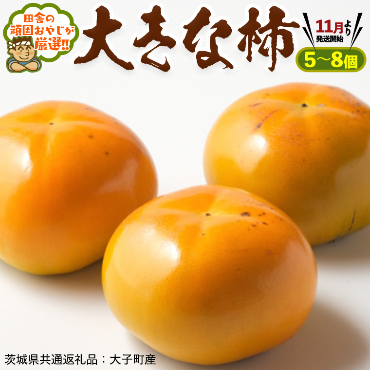 大きな 柿 5～8個【11月より発送開始】田舎の頑固おやじが