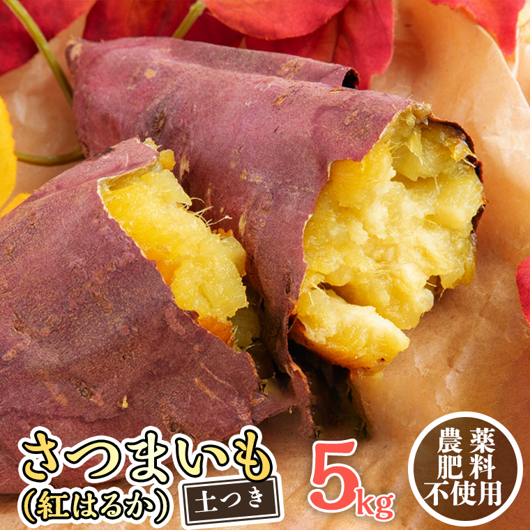 さつまいも ( 紅はるか ） 5kg 【 栽培期間中 / 農薬・肥料不