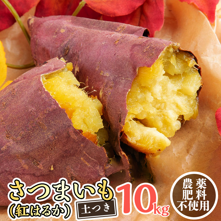 さつまいも ( 紅はるか ） 10kg 【 栽培期間中 / 農薬・肥料不