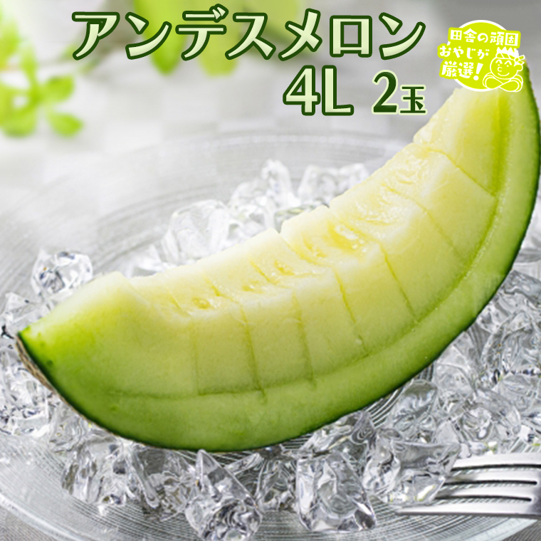 アンデスメロン 4L 2個 【8月発送開始】 田舎の頑固おやじが