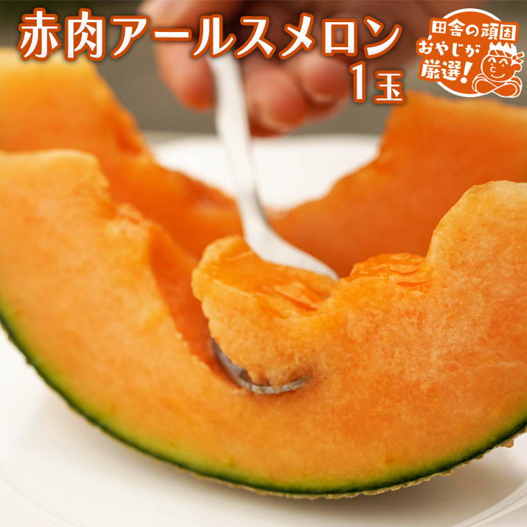 赤肉アールスメロン 1個 田舎の頑固おやじが厳選！ メロン 