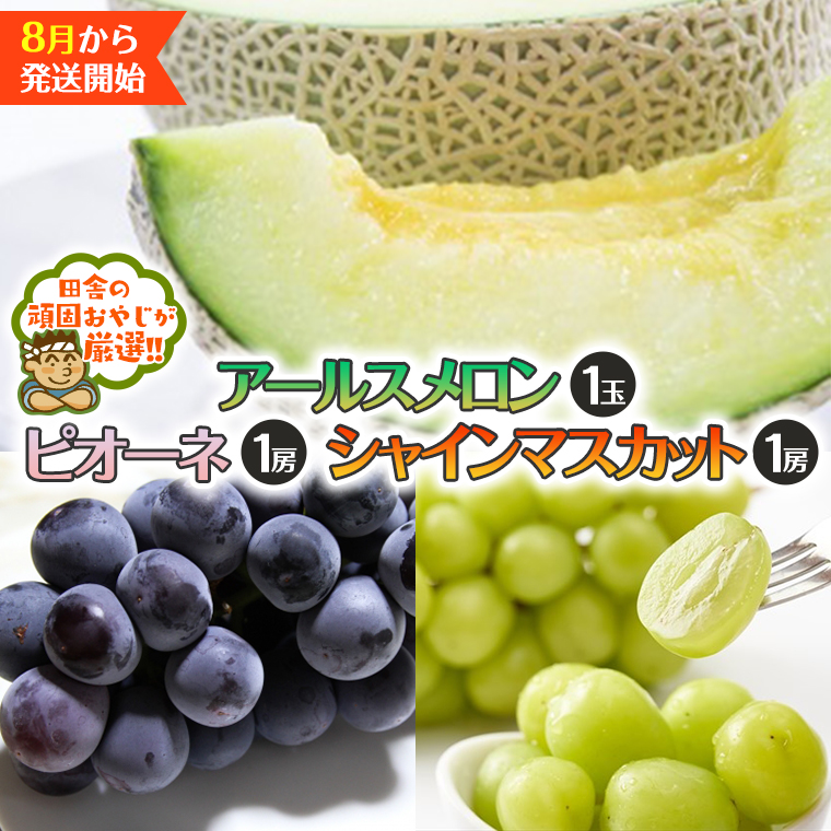 アールスメロン 1個 シャインマスカット 1房 ピオーネ 1房【