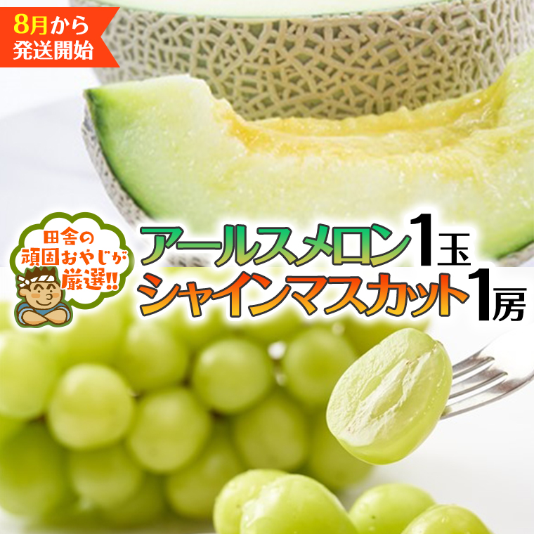 シャインマスカット 1房 アールスメロン 1個【2025年8月発送