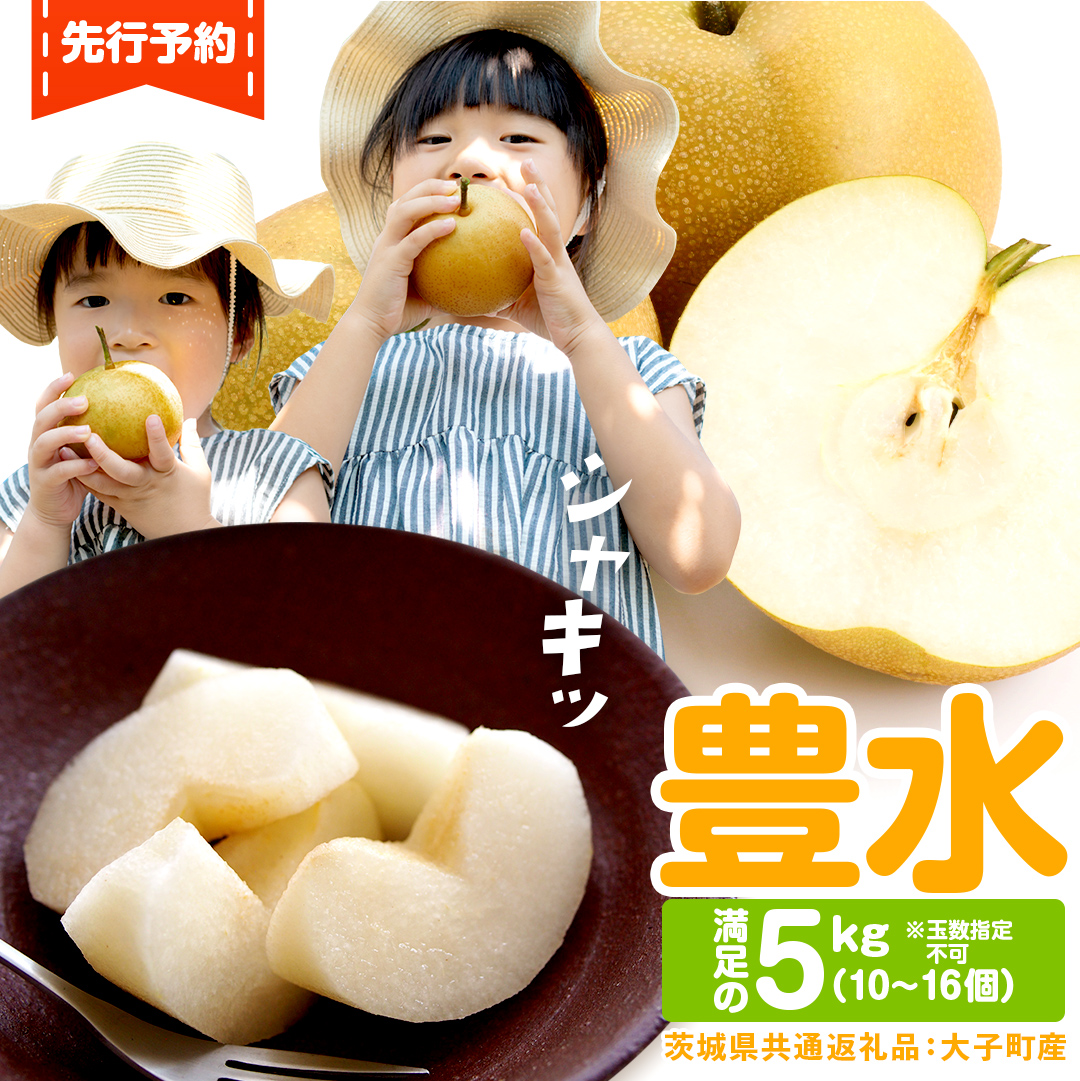 梨 豊水 約5kg（10～16個）【2025年9月より発送開始】（茨城県