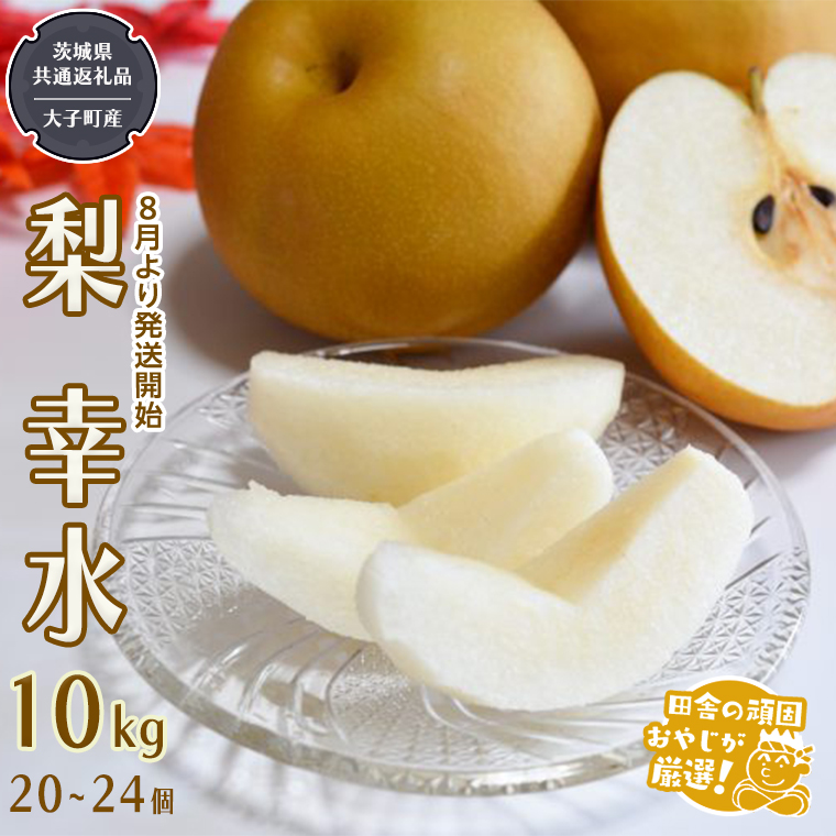 梨 幸水 10kg（20～24個 ）【2025年8月より発送開始】（茨城県