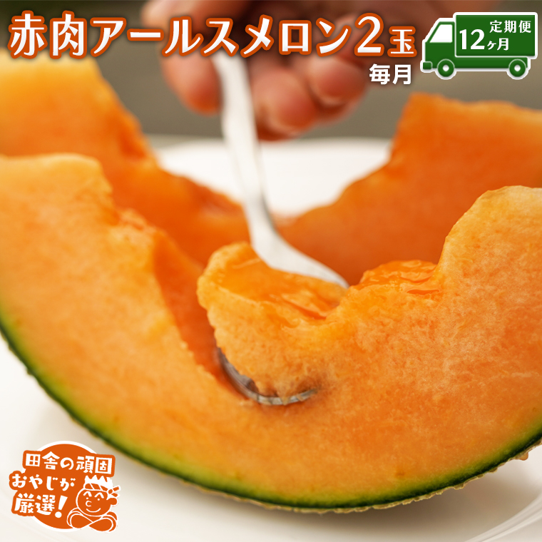 【定期便】赤肉 アールスメロン 毎月2個 × 12か月 田舎の頑