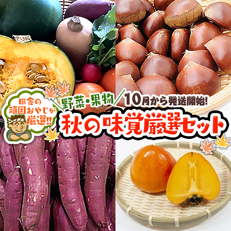 秋 の味覚（野菜・果物）厳選 セット【10月より発送開始】