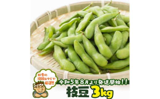 枝豆3kg【令和5年8月下旬より発送開始】田舎の頑固おやじが