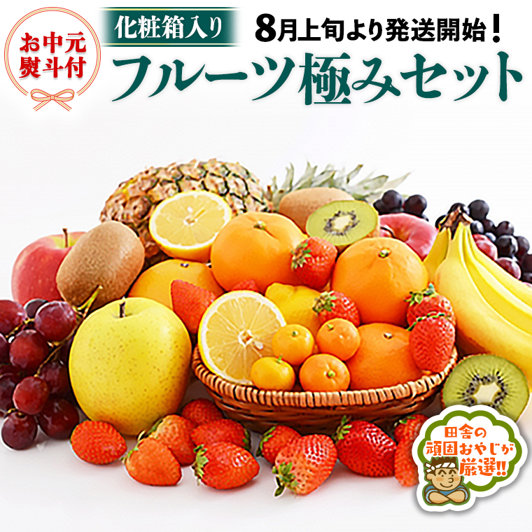 ＜お中元熨斗付＞フルーツ極みセット【令和6年8月上旬より