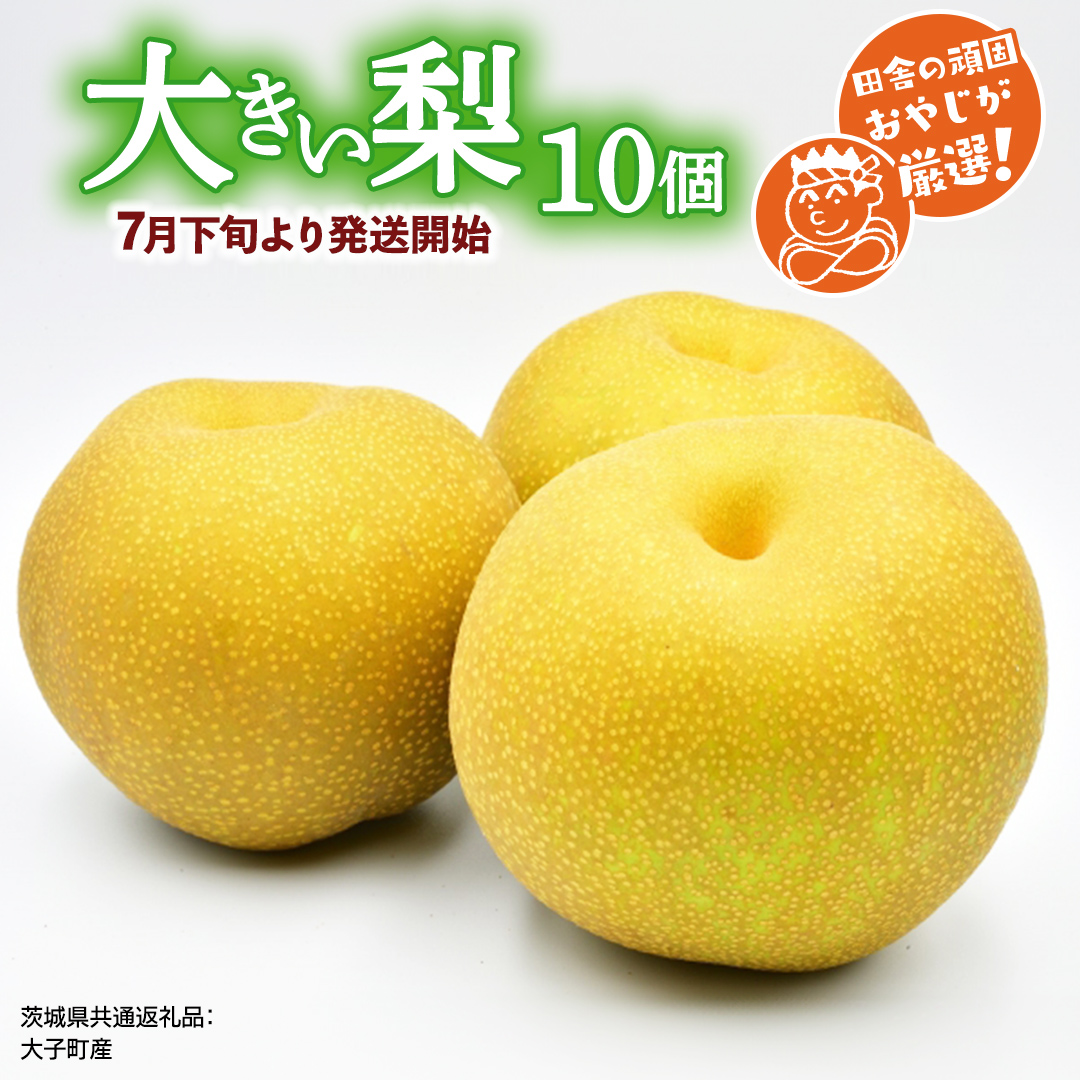 大きい 梨 10個【2026年7月下旬より発送開始】（茨城県共通