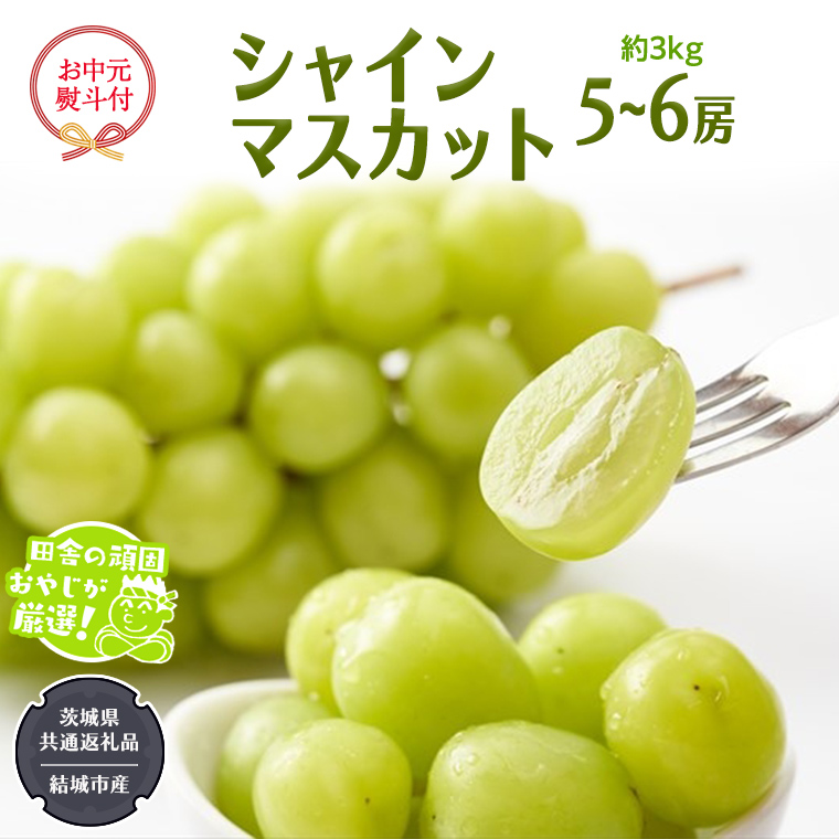 【お中元 熨斗付】 シャインマスカット 約3kg 5〜6房 【2025年