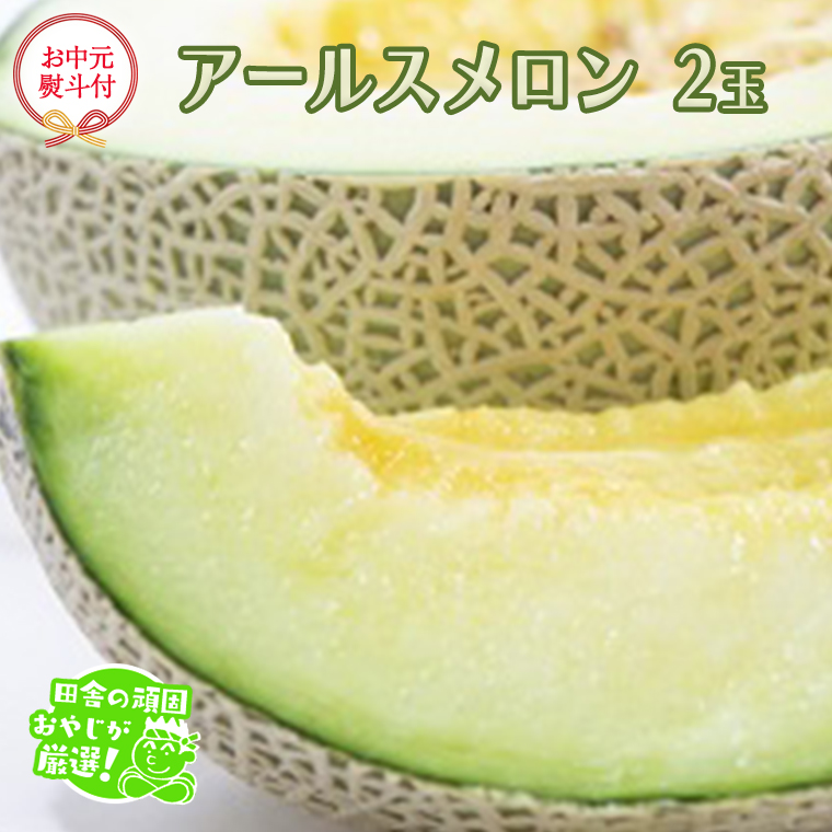 【お中元 熨斗付】 アールスメロン 2個 【令和6年7月より発