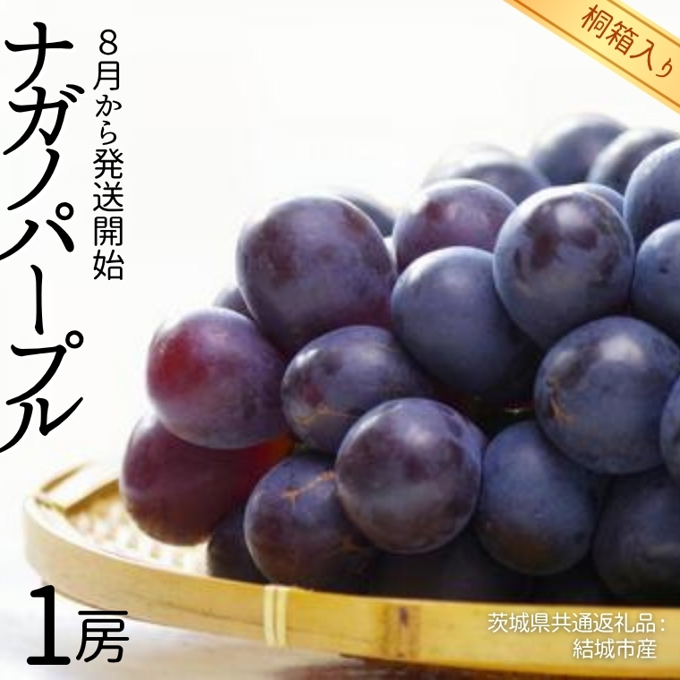 【 桐箱入り 】 ナガノパープル 1房 【2025年8月から発送開始